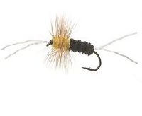 FL-22016 Bich Creek Black/Yellow #8