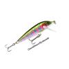 Rapala CountDown 9cm./12gr. RT