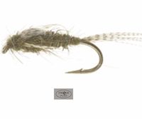 FL-31007 A.P. Olive